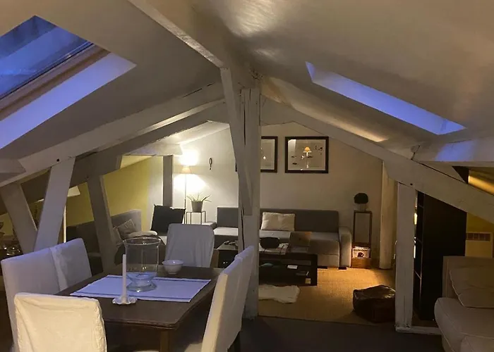 Duplex Avec Vue Sur Les Toits De Paris Paris Expo Porte De Versailles