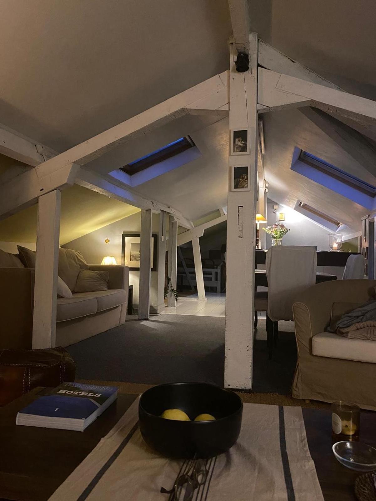 Duplex Avec Vue Sur Les Toits De Expo Porte De Versailles Paris