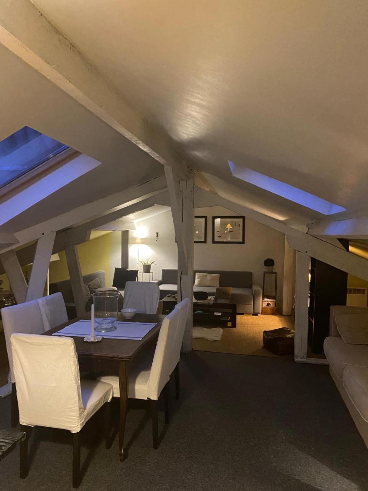 Apartment Duplex Avec Vue Sur Les Toits De Expo Porte De Versailles *